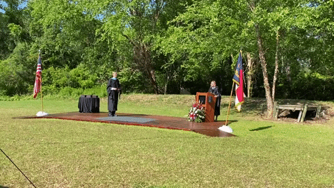 MWillson giphyupload GIF