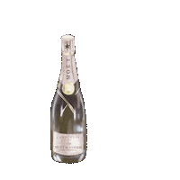 Dolce_vita_mo champagne праздник moet вино Sticker