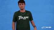 Celebration Rollwave GIF by GreenWave