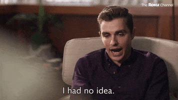 Dave Franco GIF by The Roku Channel