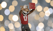 Washington State Go Cougs GIF by WSU Pullman