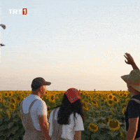 Go See You GIF by TRT