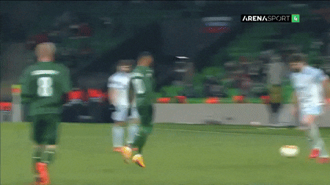ZonaDinamo giphyupload GIF