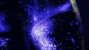 insomniacevents art crazy neon scream GIF