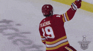 Happy Ice Hockey GIF by NHL