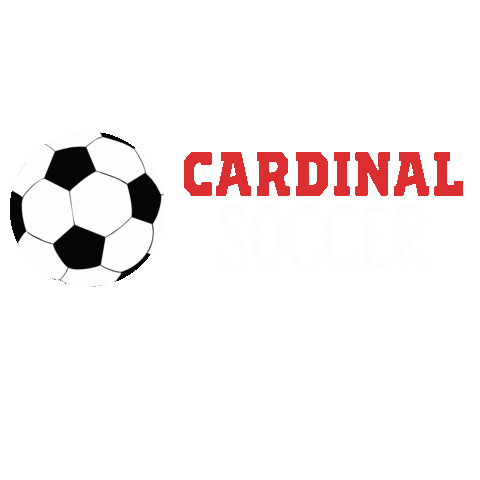 Soccer Texas Sticker by Lamar University