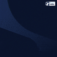 Handball Kiel GIF by DAIKIN HBL