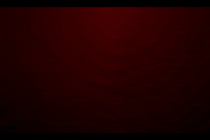 Fire Grilling GIF by La Michoacana Meat Market