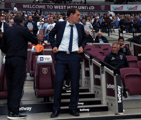 GIF by West Ham United
