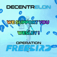 Wesley GIF by decentrelon