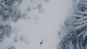 Glacier_3000 winter ski switzerland freeride GIF