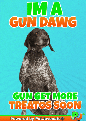 PetJuvenate petjuvenate henlo hooman fren love rescue dogs treatos and woofer for pupper GIF
