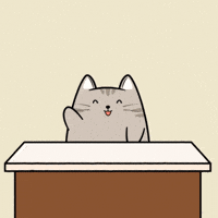 Happy Cat GIF by MESA My Emotional Support Animal