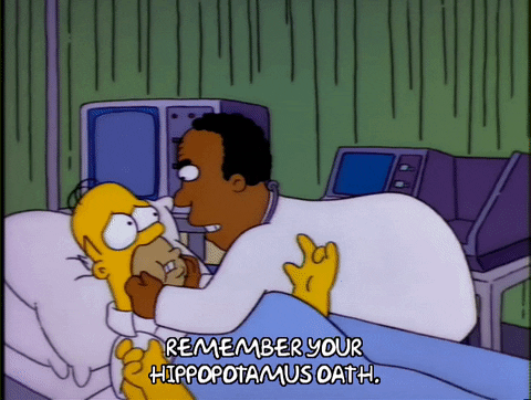 Season 4 Lips GIF by The Simpsons