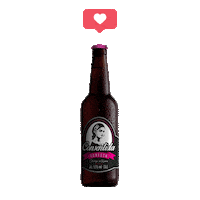krdrinks cheers shot whisky spice Sticker