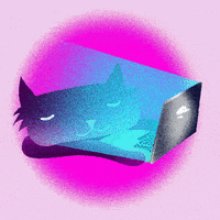 Elin_Molander cat working sleeping resting GIF