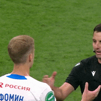 Football Sport GIF by FC Dynamo Moscow