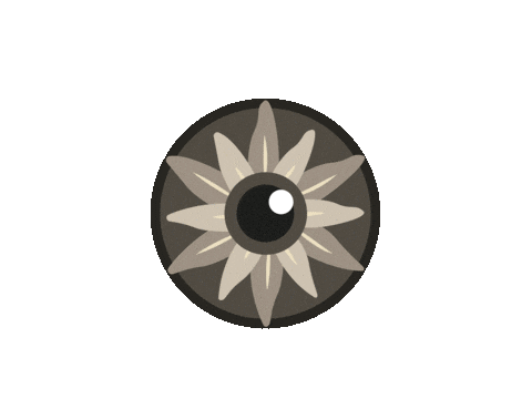 IrisFotoSchweiz giphyupload photography eye spinning Sticker