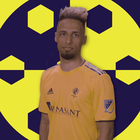 Nashville Sc What GIF by Major League Soccer