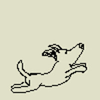 dog GIF by Dan Anthony Kelly