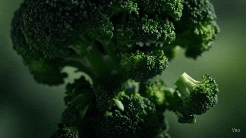 SatisfAiMyLife giphyupload giphycreatortest GIF