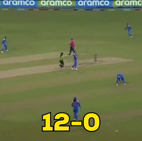 Fielding Team India GIF