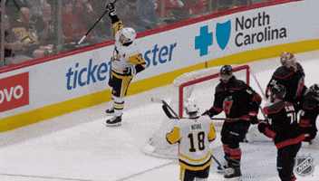 Happy National Hockey League GIF by NHL