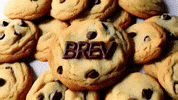 Brevmag GIF by Brev Magazine