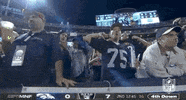 Regular Season Football GIF by NFL