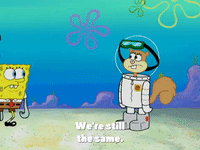 season 4 GIF by SpongeBob SquarePants