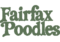 Poodle Sticker by Fairfax Poodles