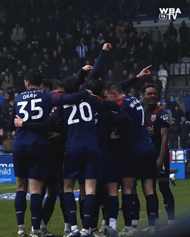 West Brom Football GIF by West Bromwich Albion