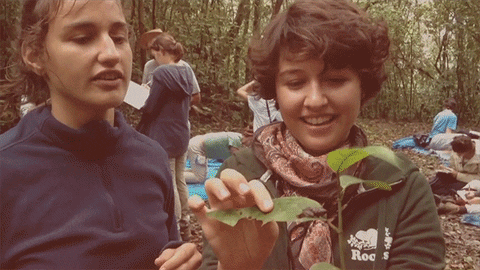 Mcgillu GIF by McGill University