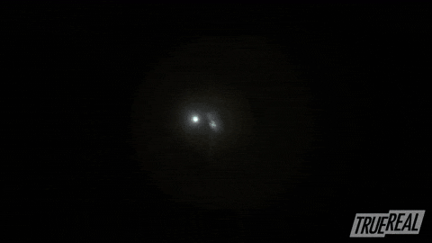 Ghost Story Horror GIF by TrueReal