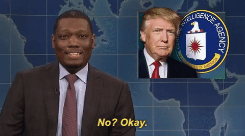 michael che snl GIF by Saturday Night Live