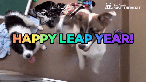 Save Them All Leap Day GIF by Best Friends Animal Society