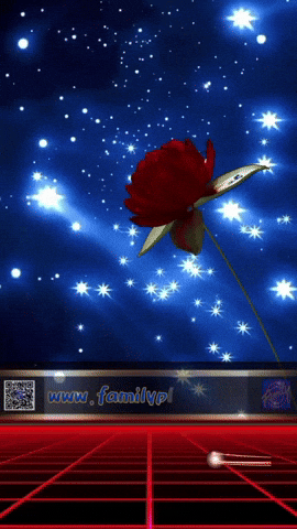 familyplast instagram youtube trending facebook GIF