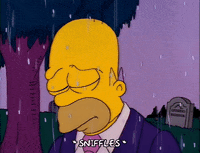 Season 2 GIF by The Simpsons