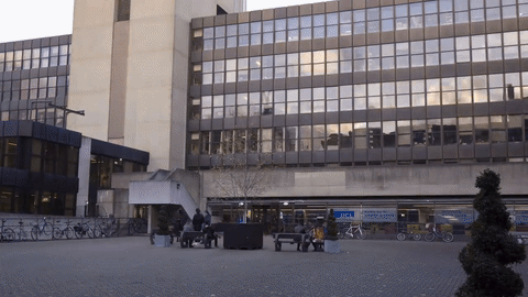 london GIF by UCL Institute of Education