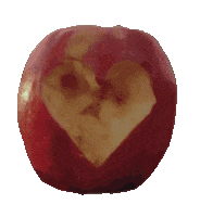 San Valentin Love Sticker by Bejo Flow