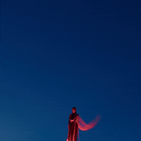 Art Fashion GIF by soy.ede