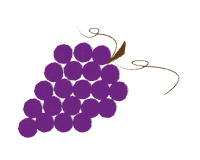 PisseDruCanada cheers wine vin grape Sticker