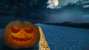 GIF by NorCal Honda Dealers