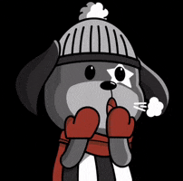 Futebol Mascote GIF