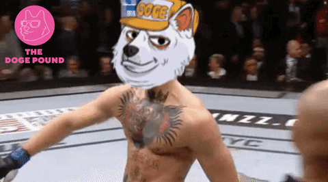 Conor Mcgregor Dog GIF by The Doge Pound 