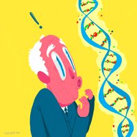 Double Helix Fox GIF by Animation Domination High-Def