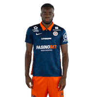 Goal Sticker by MHSC