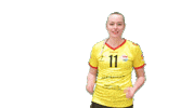Volleyball Sticker by Draisma Dynamo