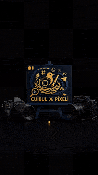 Cat Love GIF by CuibulDePixeli