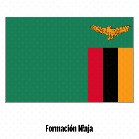 Flag Pixel Art GIF by Formación Ninja